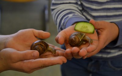 Jugendwoche 2018: Schneckentherapie in Klasse 2