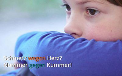 Nummer gegen Kummer, Schulseelsorge-Chat und Telefonseelsorge