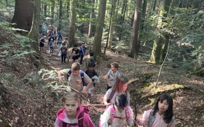 Schullandheim der Klassen 4